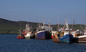 c94-Dingle_09_194.jpg